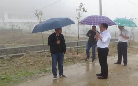 株洲市环境保护督察工作简报(2017年第二十三