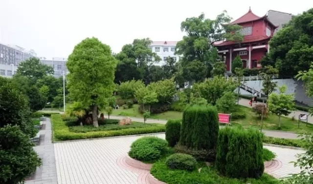 醴陵高考成绩创历史新高 理科最高650分 文科