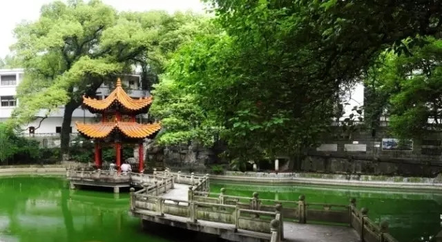 醴陵高考成绩创历史新高 理科最高650分 文科