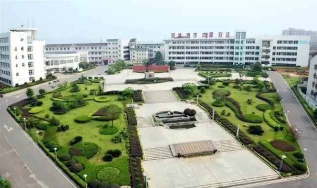 醴陵高考成绩创历史新高 理科最高650分 文科