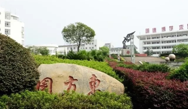 醴陵高考成绩创历史新高 理科最高650分 文科