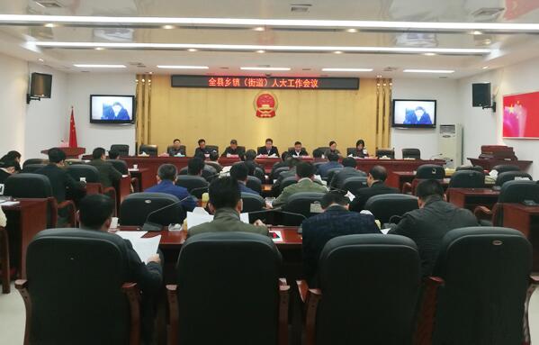 茶陵县乡镇(街道)人大工作会议召开(图)