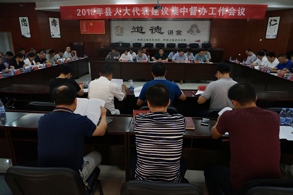 茶陵县人大常委会集中督办2018年度代表建议