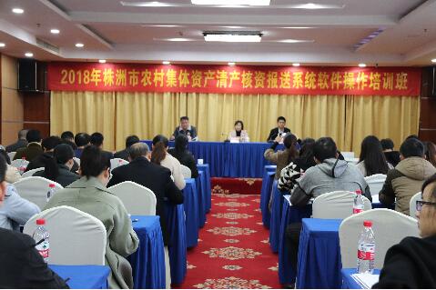 全市农村集体资产清产核资报送系统软件操作培