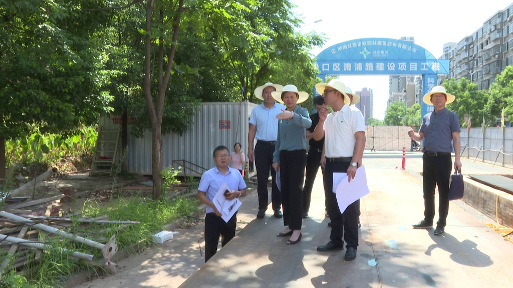 赖晓智调研城区路网及南洲生态新城项目建设