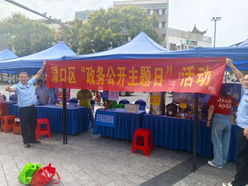 政务公开主题日