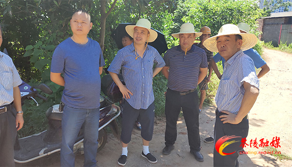 P00616-104202.jpg P00616-104202.jpg